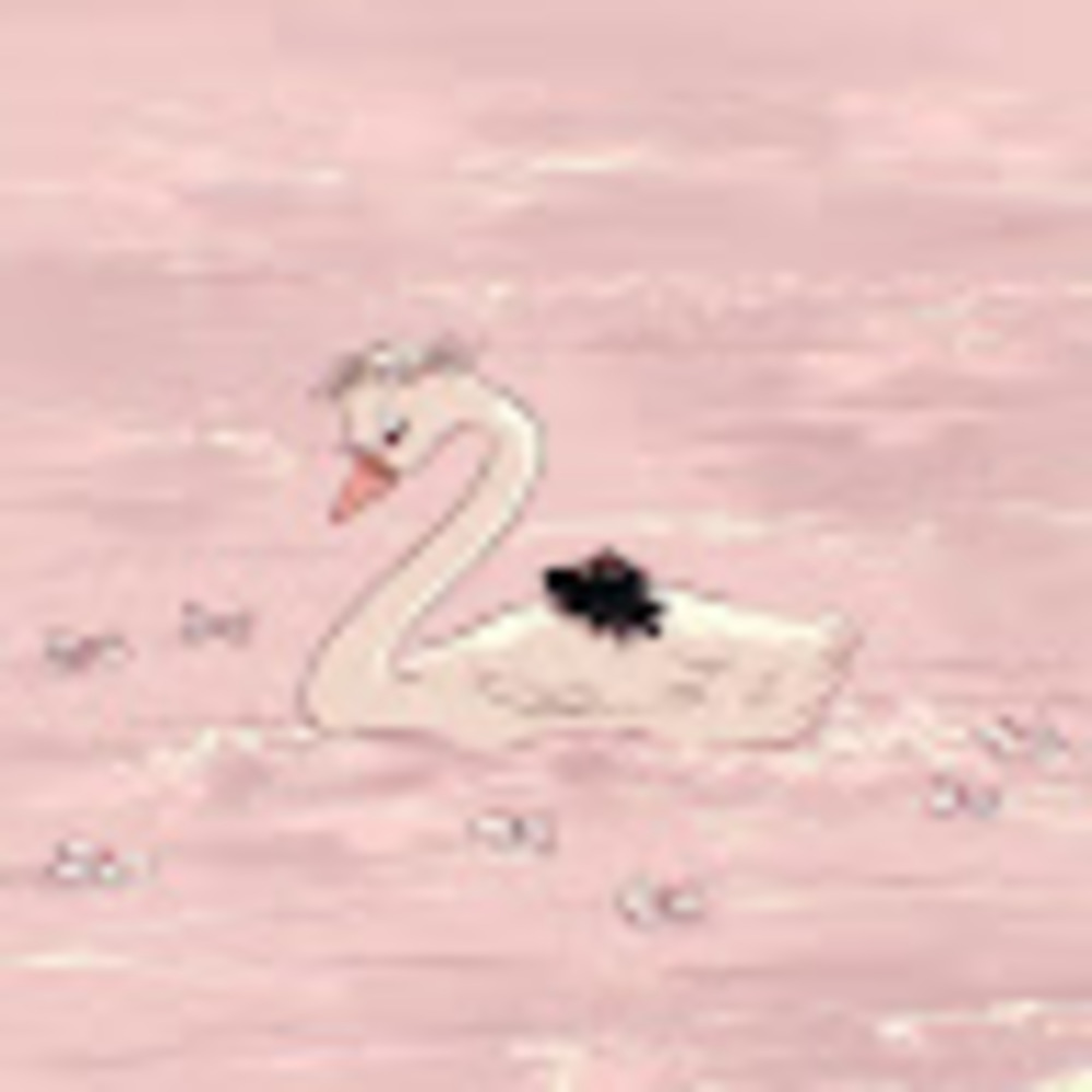 Meet your Posher, Ally